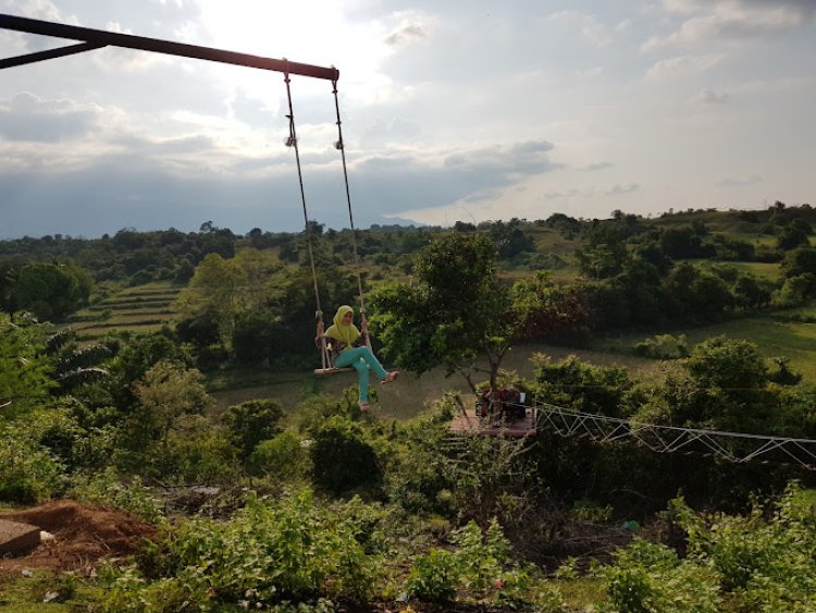Habiskan Akhir Pekan dengan Menikmati Waktu di Taman Wisata Burung Dara