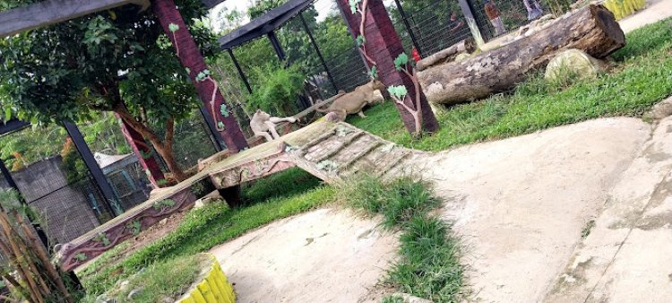 Jalan Kurang Bagus namun Menarik, Gurun Putih  Lestari Safari Park
