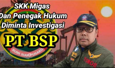 Kerugian Ratusan Miliar, Ancaman Lingkungan, PT BSP Siak Dinilai Tidak Profesional