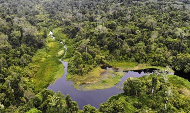 Kerusakan Hutan Tutupan di Kec.Trumon Tengah tak Terkendali
