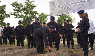 Kunjungan Dansat Brimob Polda Riau ke Batalyon B Pelopor