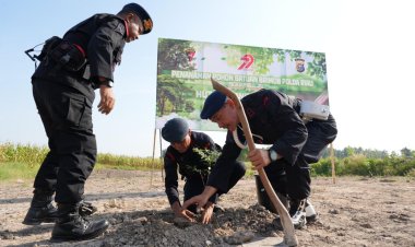 Sambut Hut Bhayangkara ke 79, Brimob Polda Riau Laksanakan Penanaman Pohon