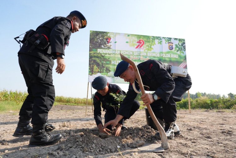 Sambut Hut Bhayangkara ke 79, Brimob Polda Riau Laksanakan Penanaman Pohon