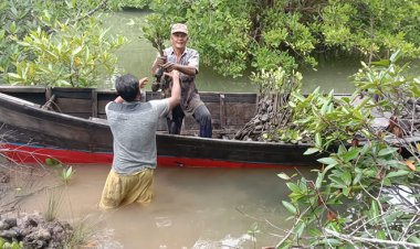 Laporan Fiktif & Kwitansi Manipulatif, Kasus Korupsi Rehabilitasi Mangrove di Natuna