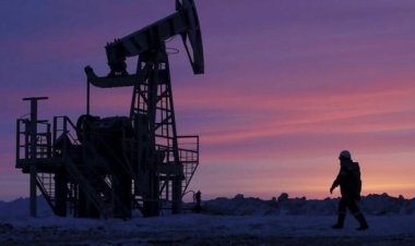 BSP Bangkit dari Kerugian, Targetkan Dividen Lebih dari Rp100 Miliar pada 2026